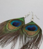 Peacock Feather Earrings