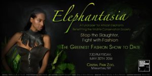 Elephantasia, gabby wild fashion show